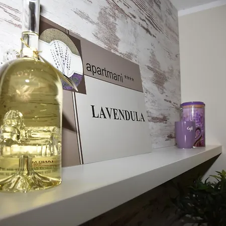Lavendula