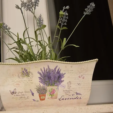 Appartamento Lavendula *