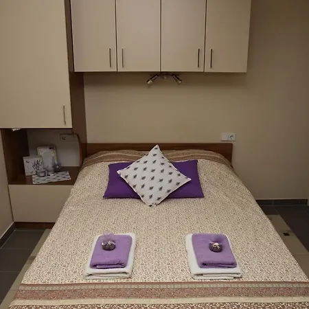 Lavendula *