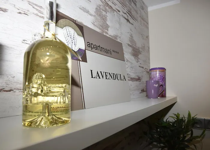 Lavendula